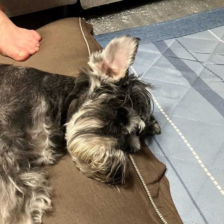 B8c65a9b d403 47ad 8e93 82df21a245d5 1723874138837