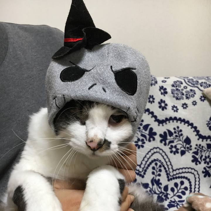 B8c682fb 94ca 4bd5 8460 4a78ebb60046 1572526714845