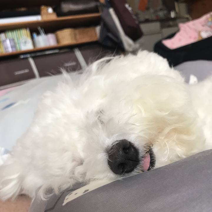 B8c6c718 7ce3 4b41 bab1 f3c49b2f6f05 1569906927823