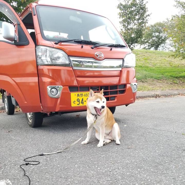 B8c6dabb 2a76 476b b6f7 feec835321be 1631778938359