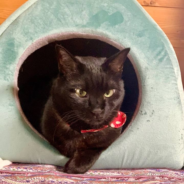 B8c71c66 458d 4927 81f2 f21994ccb456 1677325979535