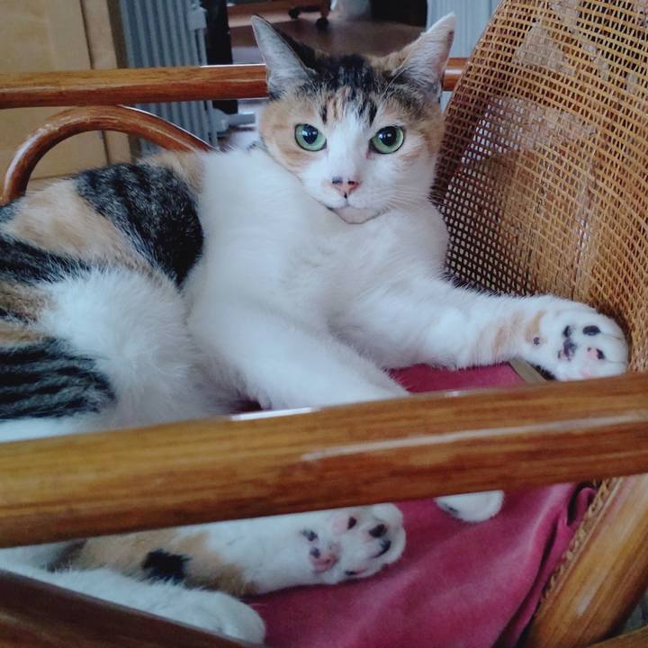 B8c741c2 2c06 4ca2 a9db e50a118390d4 1672528746058