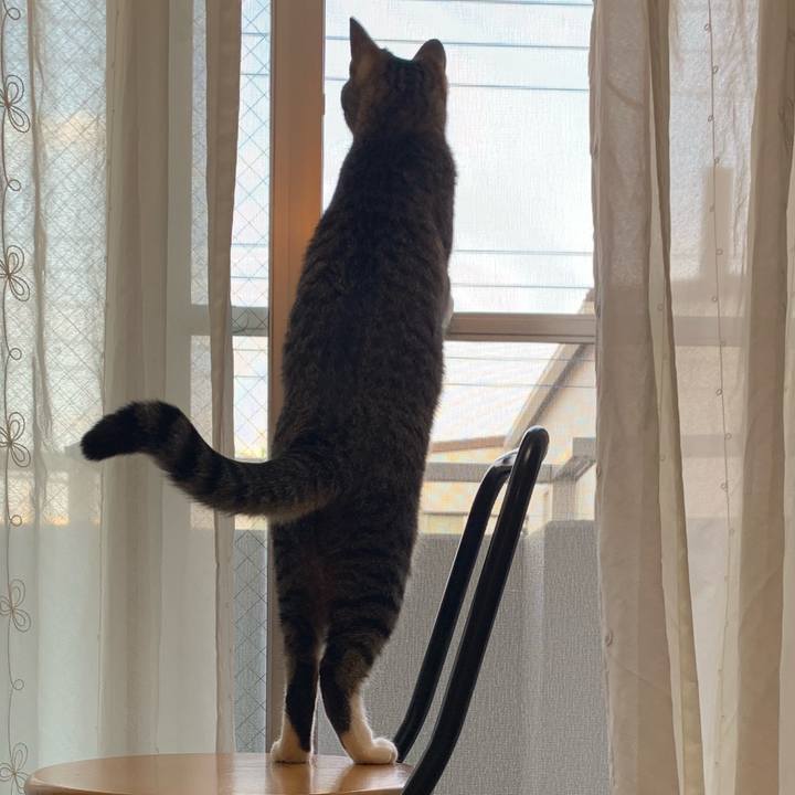 B8c7985c 878d 4df8 bd23 5ba09e19adca 1557924106941