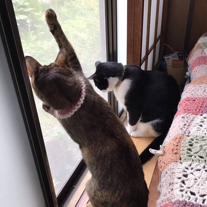 B8c7bd23 527d 4cd7 82e9 ec075d11775c 1651045905207