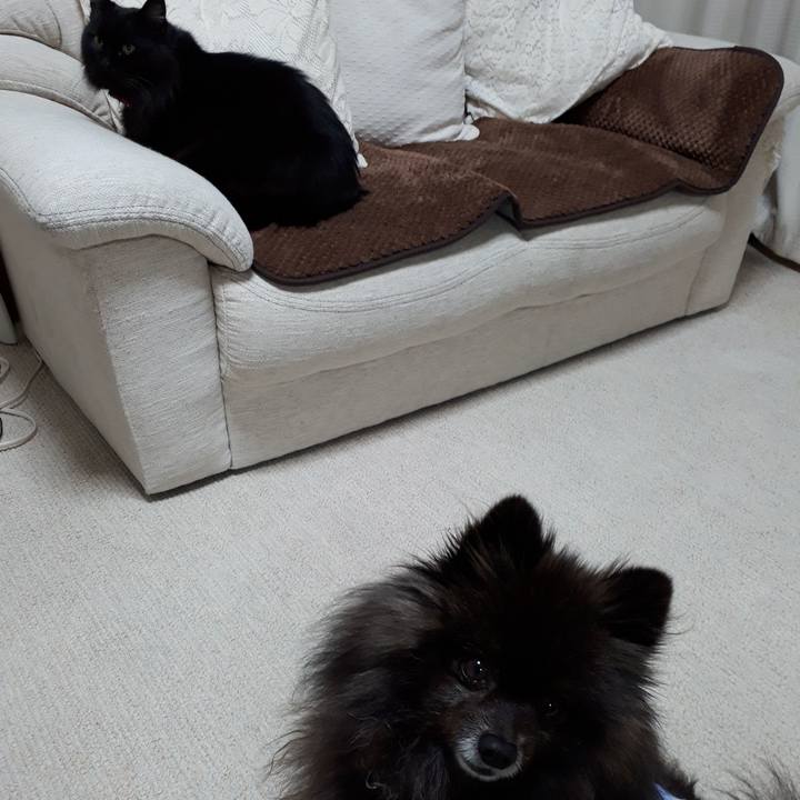 B8c7f316 8b12 4a56 aef1 a895632f2eb0 1519073514744