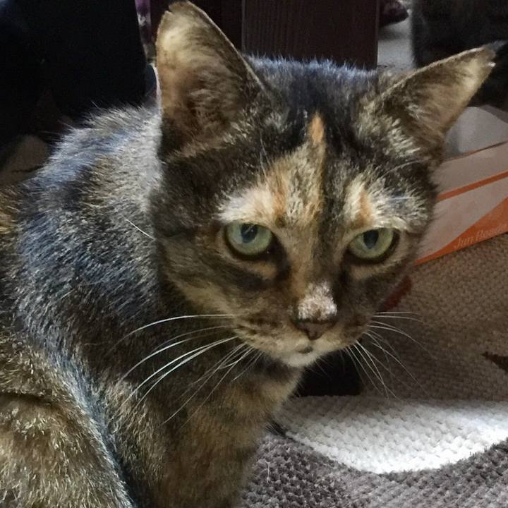 B8c7ff8a 8f74 4ec7 a701 759c4c0ea693 1551606174932