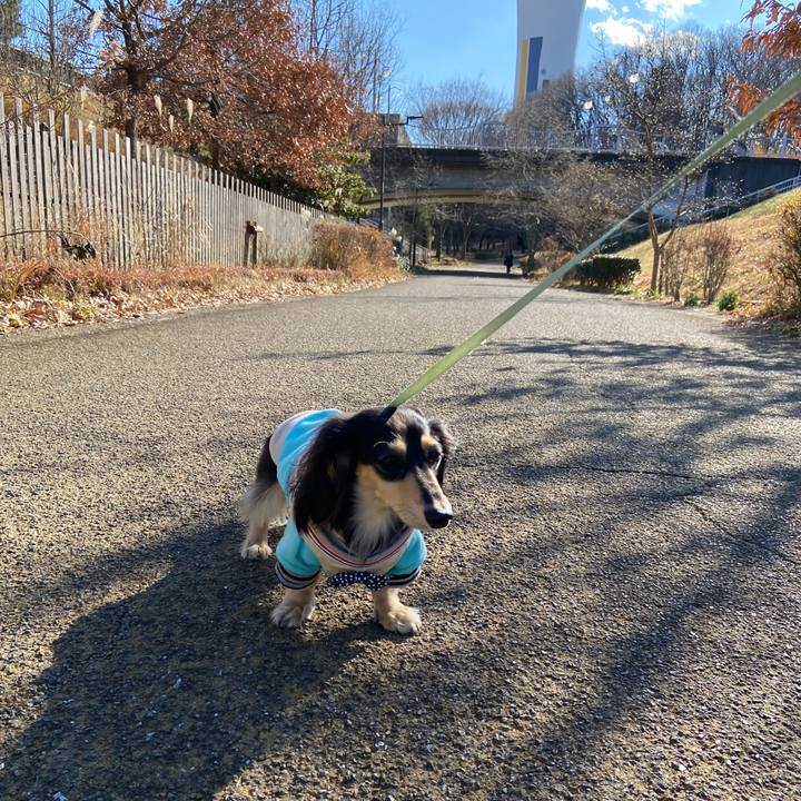 B8c80ddd 7ec9 4fe0 badc 967005cd8412 1736401204303