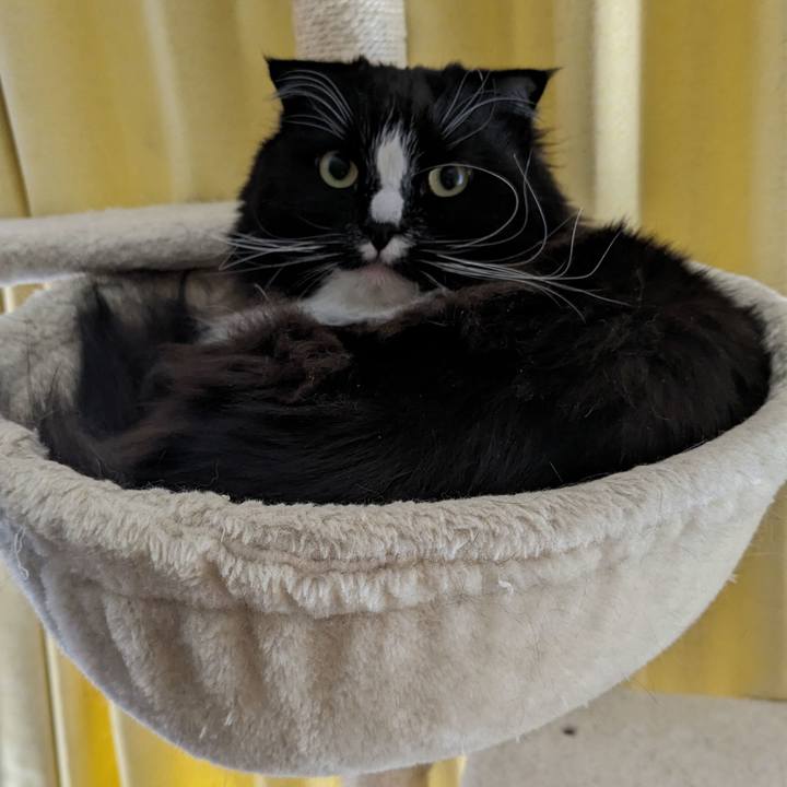 B8c81e27 f45b 44cd 8702 ad00d3e171ec 1710029647129