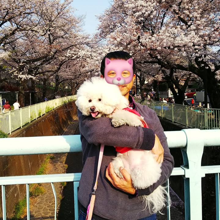 B8c82642 35b1 47bd b264 1706462aa790 1554636624434