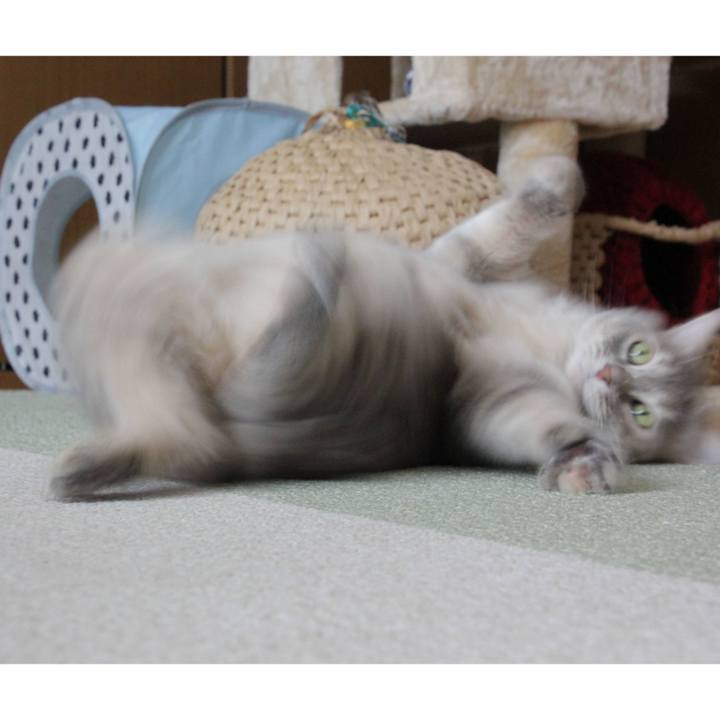 B8c84dd8 f13e 4ce5 acdc ce8f3b918f33 1629640881324