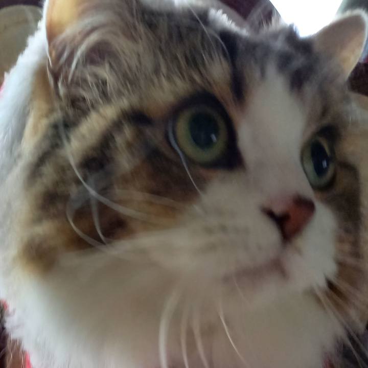 B8c86645 942e 495c b99d ade49bcffd8d 1607759131169