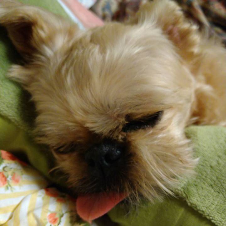 B8c87c4a a70d 47cd bba2 5967bed89e7a 1657728372777