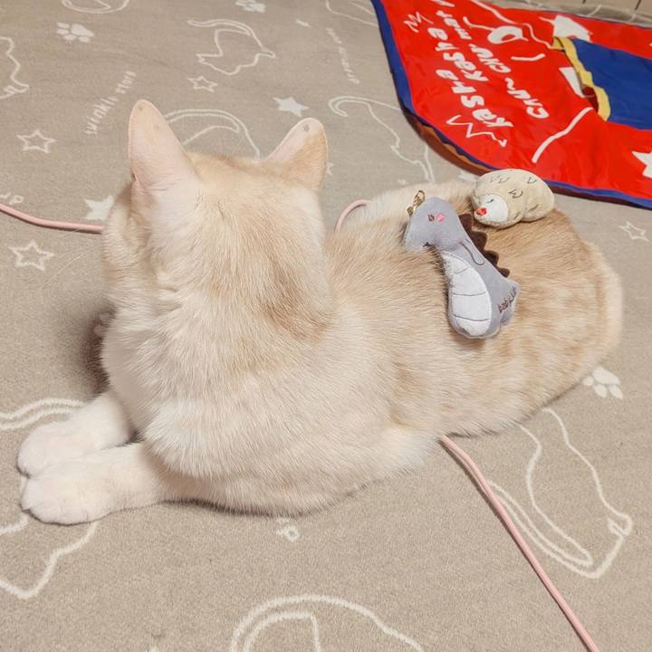 B8c88406 8f8a 4e5b 8847 a8ad187bf336 1772808064760