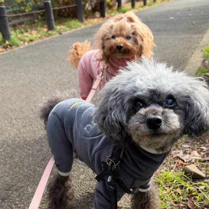 B8c8950f b5bc 4862 934b aea56e14b0d6 1767660327428