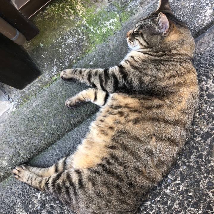 B8c899ed 13d6 4b77 8eca c1e5f4763cdc 1558681394746