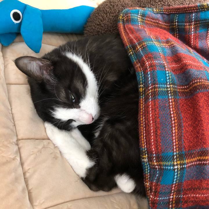 B8c8b0a0 2daf 4335 a676 fa6f788276b1 1581299352586