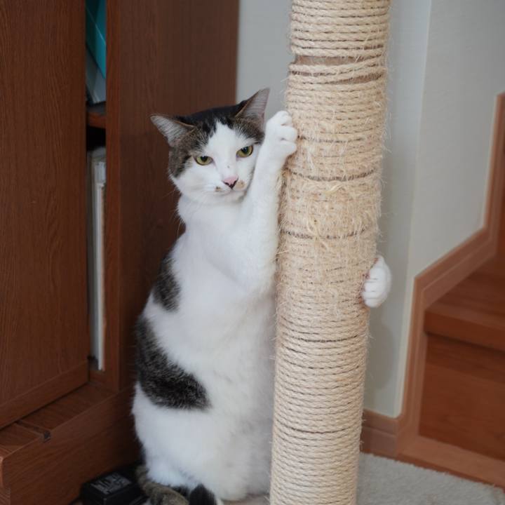 B8c8b833 3a89 4c60 9cdb 25b5a312fdc9 1627651065754