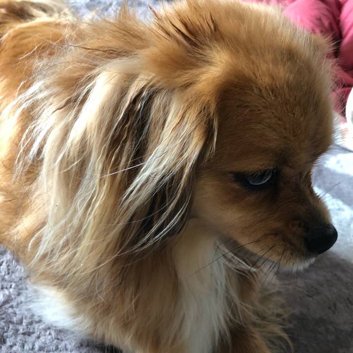 B8c8e526 00ea 4870 911b 2dedf007c66b 1559452359502