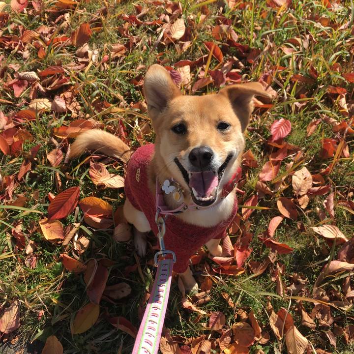 B8c9404d bc87 4d97 8d0f a00dd1f7d45b 1512559023580