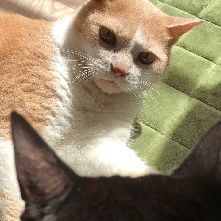 B8c9516d b857 41fe 9057 3e2983c7c6a2 1531530411440