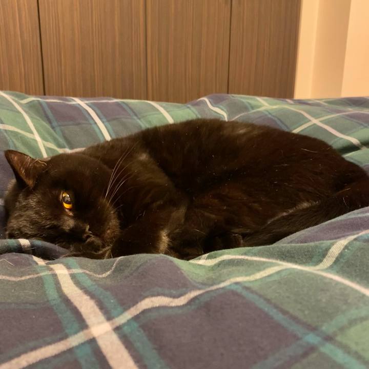 B8c9583d 0b05 48d1 a900 bb724c903fbb 1644406619040