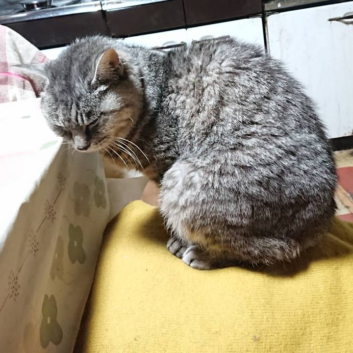 B8c97715 e204 457a a2dd cacd64ccd693 1572640100899