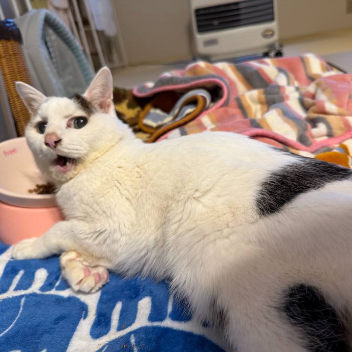 B8c97963 d93a 42e9 a352 e7034b737675 1765324194641