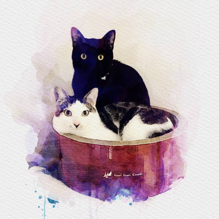 B8c9b9f2 2e70 41a0 aaa5 32060afdeec5 1510287218749