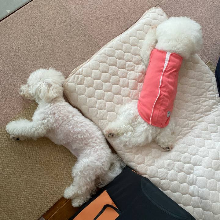 B8c9cb87 43d2 4e56 9019 6e055a6d82c3 1754953820194