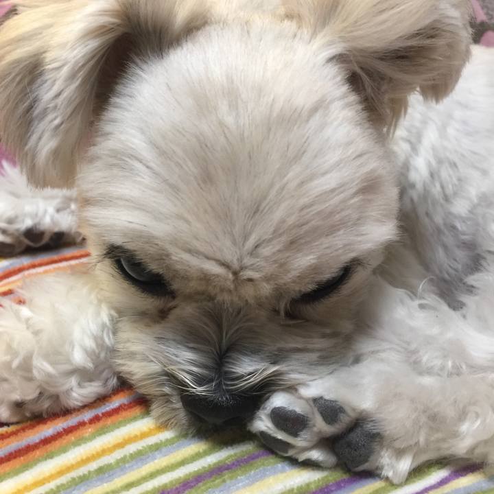 B8c9e8f9 1e7a 4bbe 9694 66ee87efbbb8 1514376298423