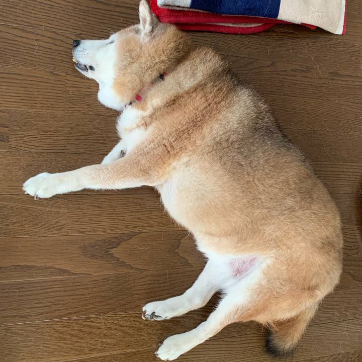 B8ca1b87 518a 4adc a93e e1c07bd5bea4 1660453773083