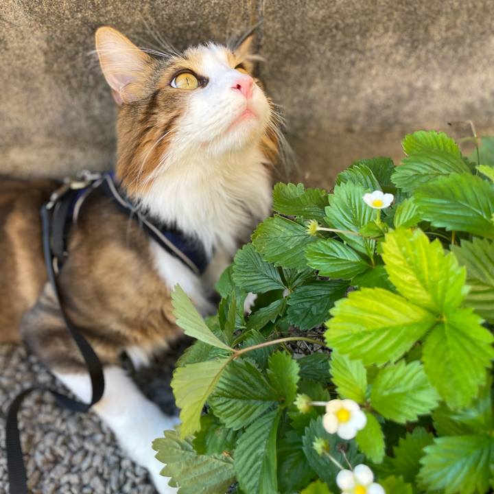 B8ca34b3 d326 4db4 b6d1 3d31123224b1 1660479538018