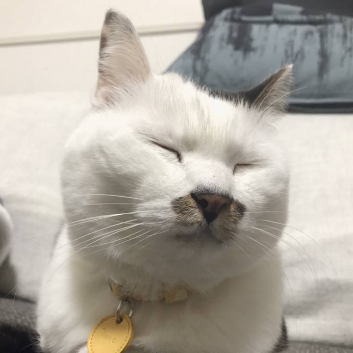 B8ca4cbf f5ea 4b26 b388 943fe46f3683 1551060915642