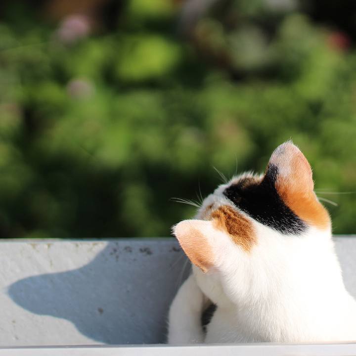 B8ca556d 887e 4c85 a5ae 7e1b17dd5e79 1597709870443