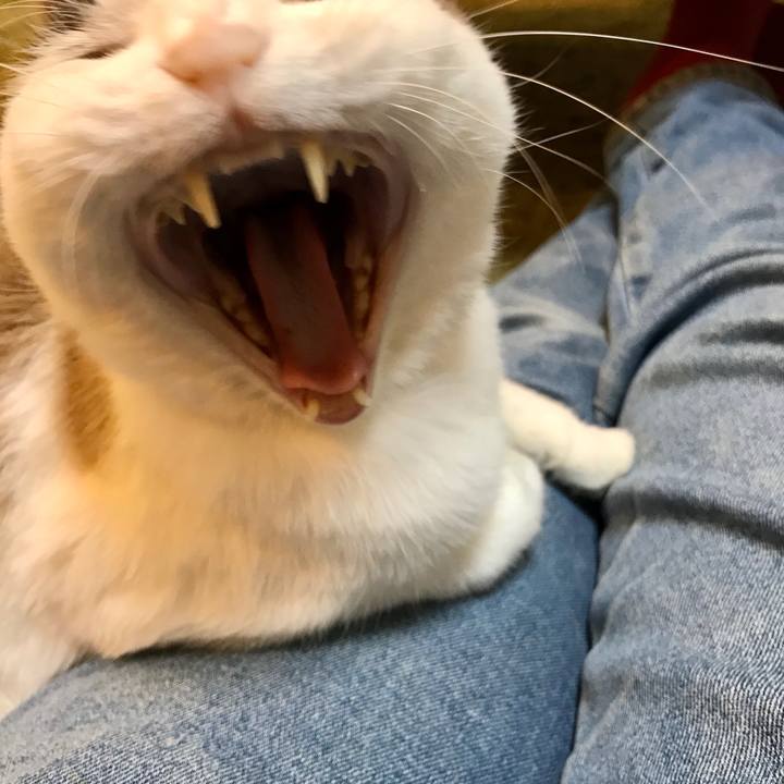 B8ca689c 7be0 4311 8de6 dc9cf093e50e 1579423825472