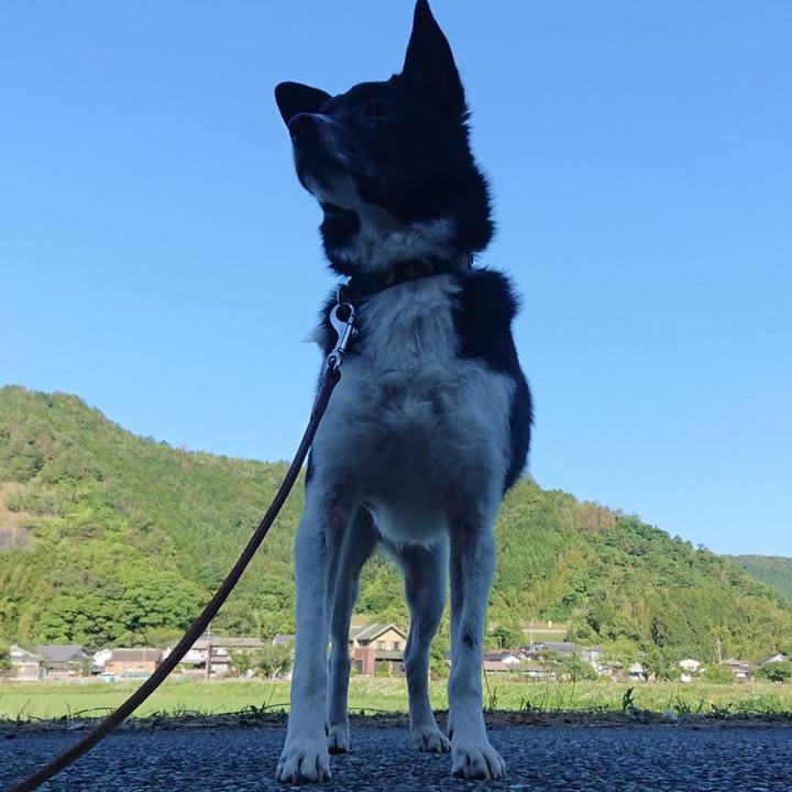 B8caa31c f8a4 45d0 a538 b7b0046b5dd1 1591573535659