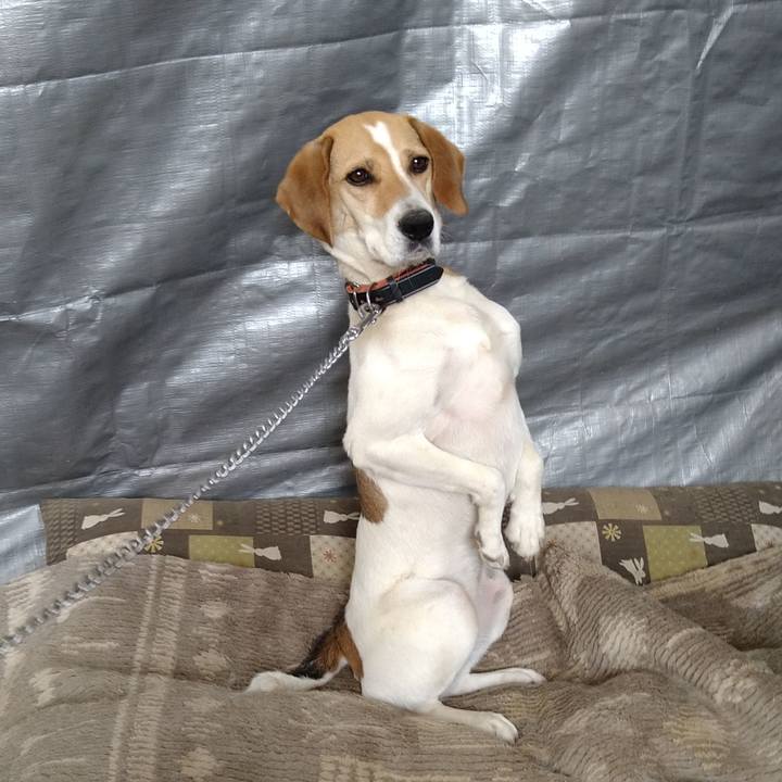 B8cadb45 07e8 4039 b121 1f12ae41920a 1623999388091