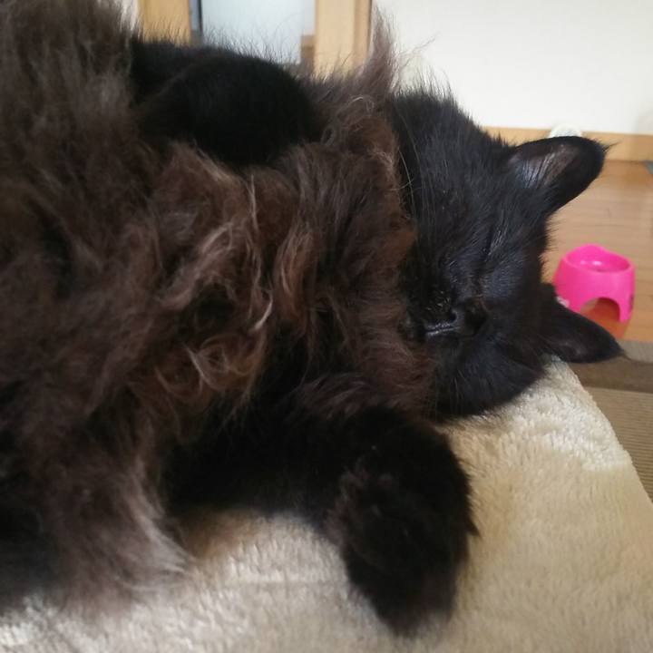 B8cb39df e8ce 43c8 8855 8188e205d3de 1570405407957