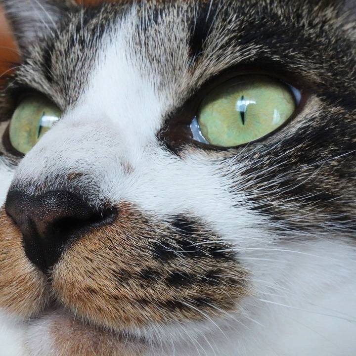 B8cb5838 97b0 43bd 9bf4 7ea00d3df553 1762674097238