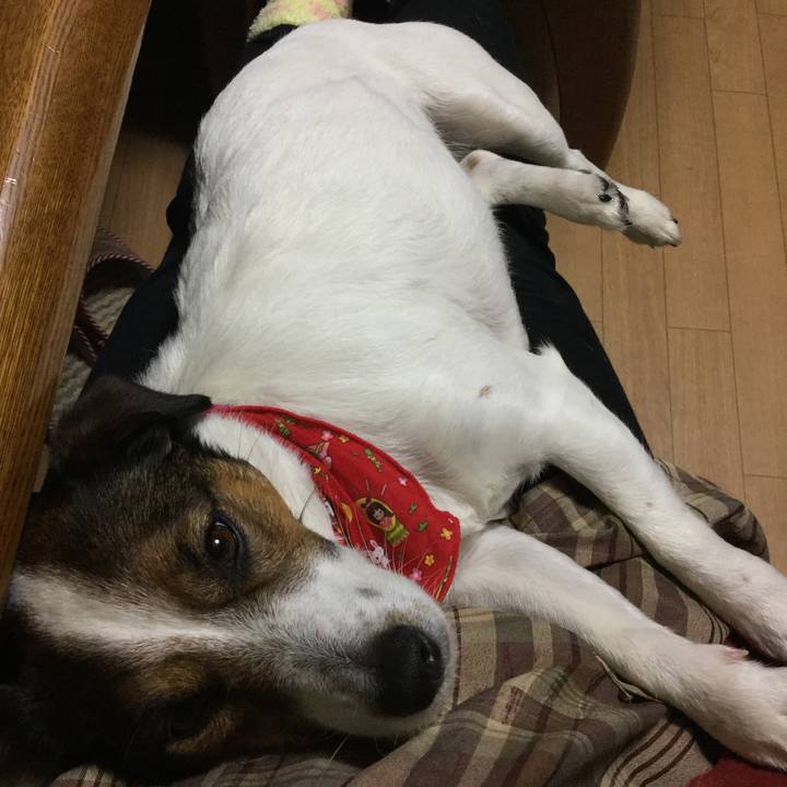 B8cb5cee 6101 4b9e 990b 43a2b5069ff9 1520420648529