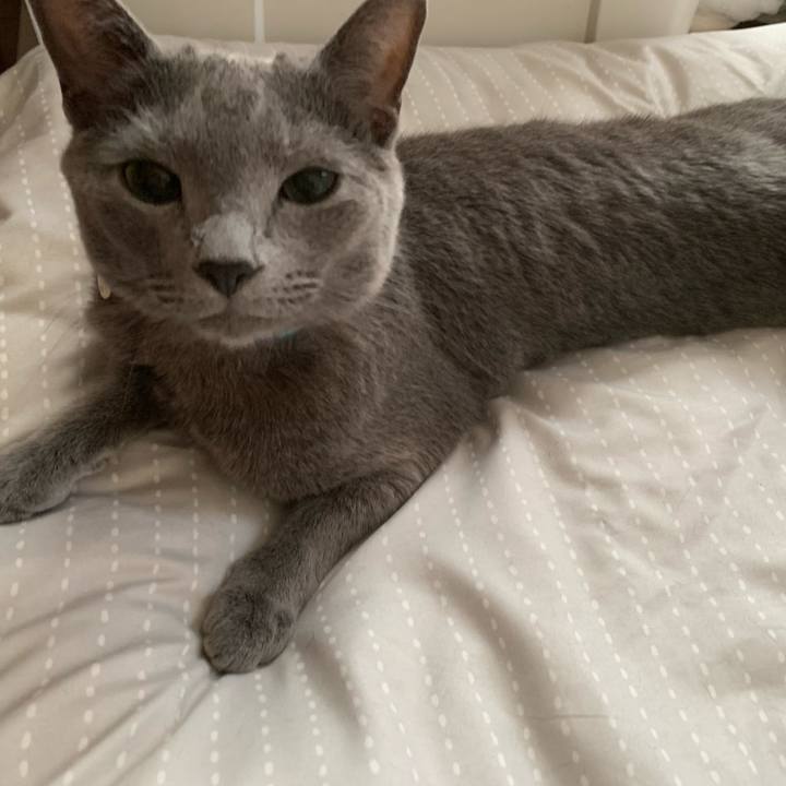 B8cb7605 ecb5 475e 8906 d4025ab32ed9 1626595875338