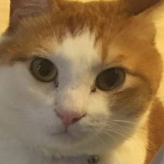 B8cb7dd9 63c8 424d 8f9d a5047eab6941 1576335476283