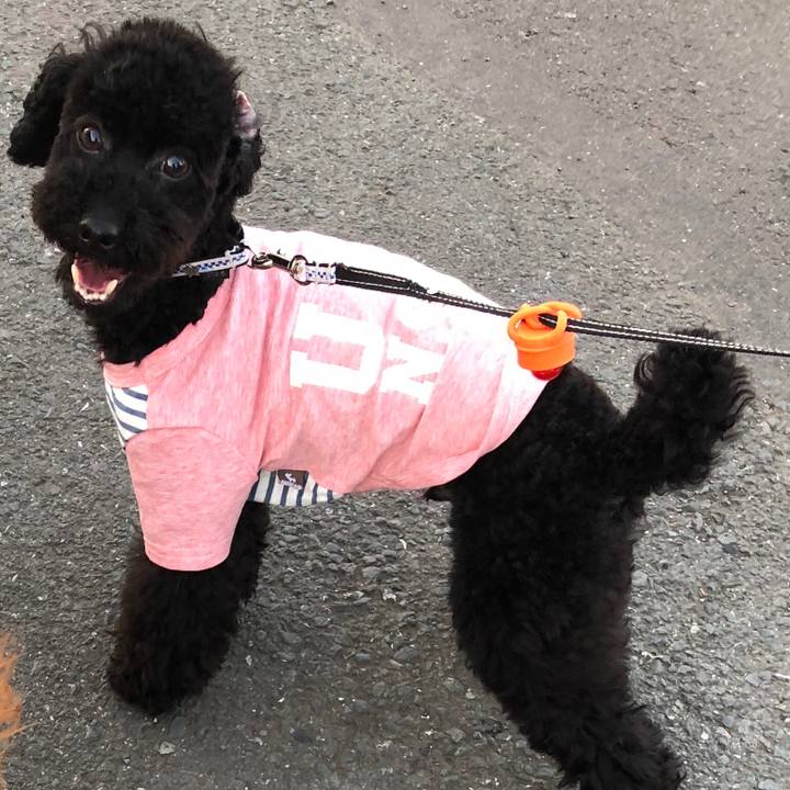 B8cbb7e1 aa3c 4d2b b598 22dc05f76b04 1525165855804