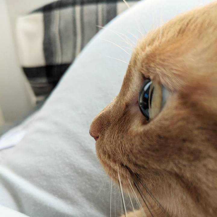 B8cbbb12 017c 4690 9f7f 636b223d38a8 1688194235293