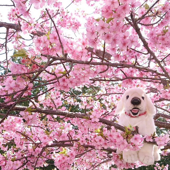 B8cbd021 4e93 4bd8 8814 c6beae64b7c9 1614271052205