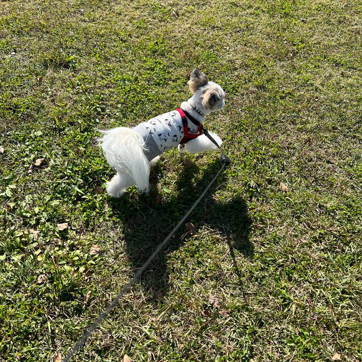 B8cbdc8e 56e0 447e b20c 8eb48c1b8368 1636190327459