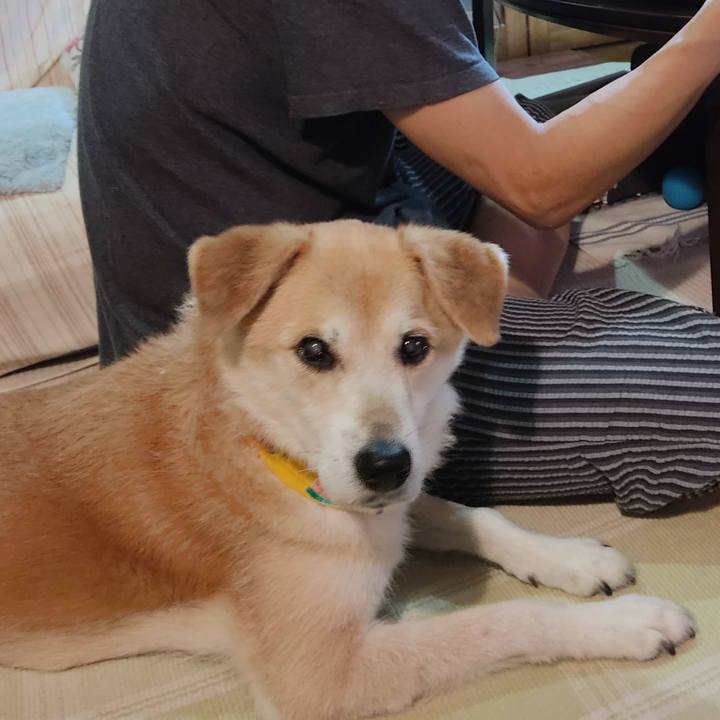 B8cc2cf7 2c85 4d80 8224 dc88a8797e80 1628164611193