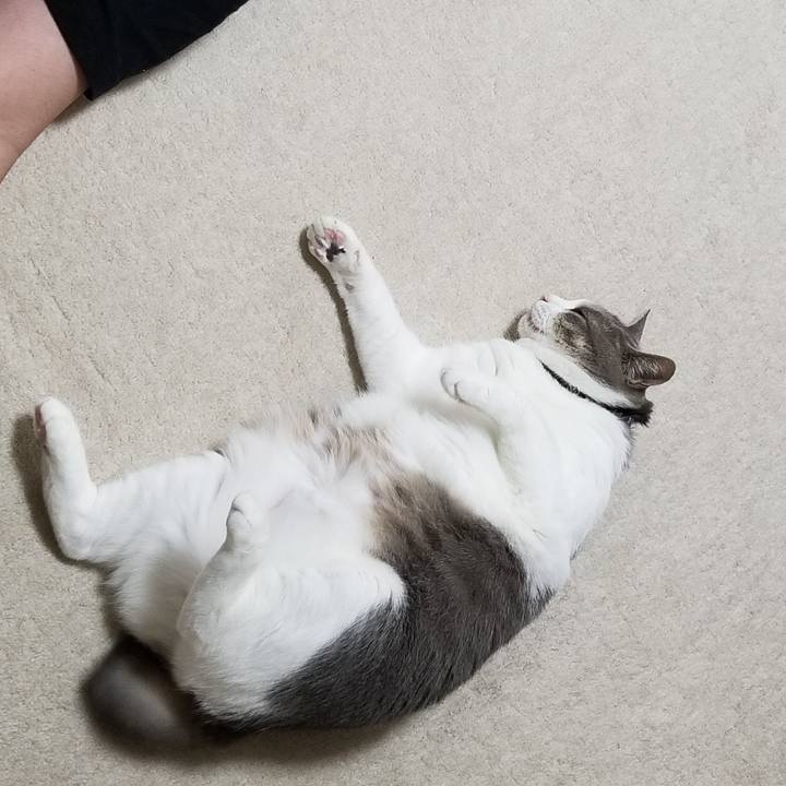 B8cc5082 7e65 42d9 9900 13a6a5a81018 1617710215346