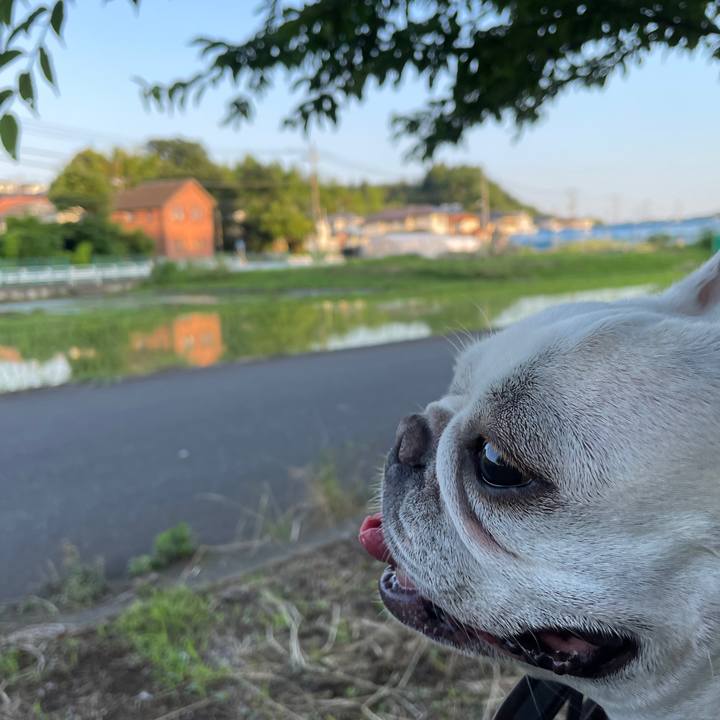 B8cc79d2 258f 41e0 b40a cf34a85f4eec 1750200980958