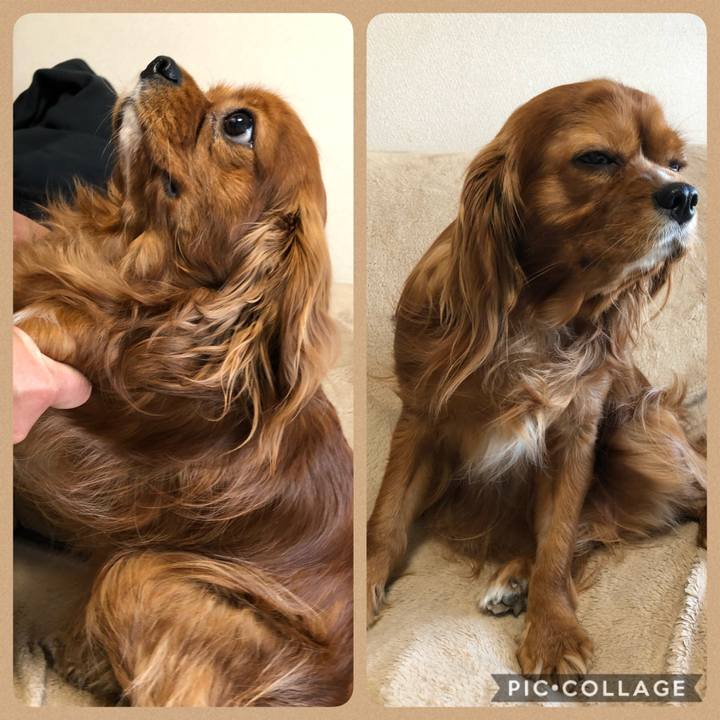 B8cc88c5 2c50 41f0 b769 02f2b64c7aaa 1586042445788